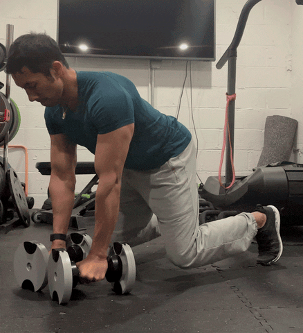 BEAR PLANK ALTERNATING ROW