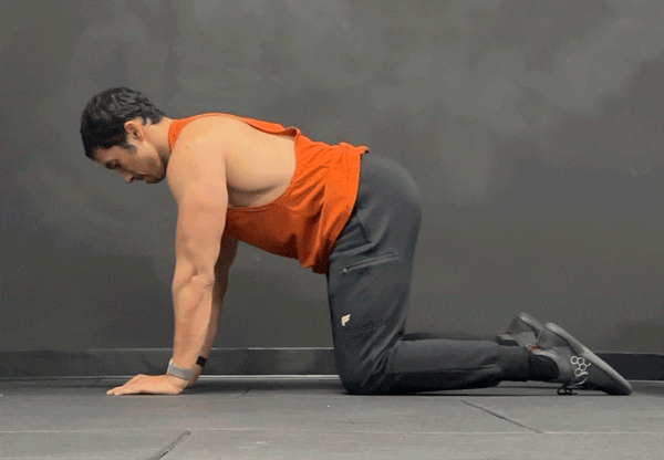 Cat-Cow with Rotation